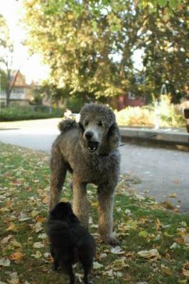 Oct6a_04_311.JPG