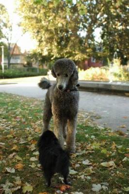 Oct6a_04_312.JPG