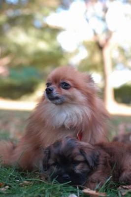 Oct6a_04_341.JPG