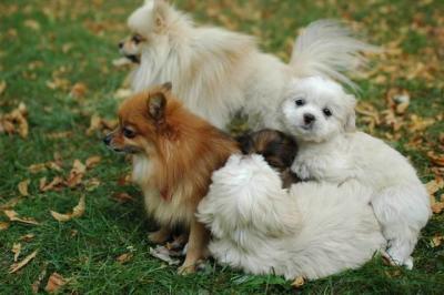 Oct6a_04_385.JPG