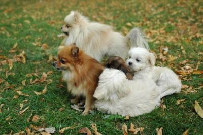Oct6a_04_386.JPG