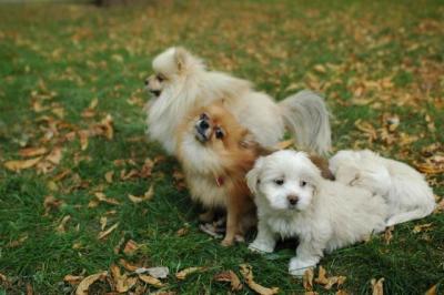 Oct6a_04_388.JPG
