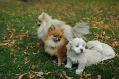 Oct6a_04_389.JPG