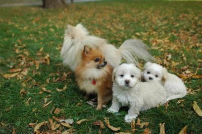 Oct6a_04_390.JPG