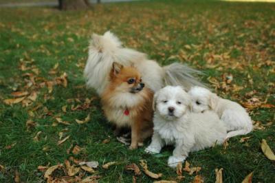 Oct6a_04_391.JPG