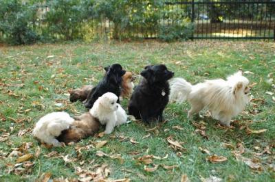 Oct6a_04_398.JPG