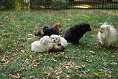 Oct6a_04_406.JPG
