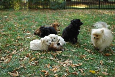 Oct6a_04_408.JPG