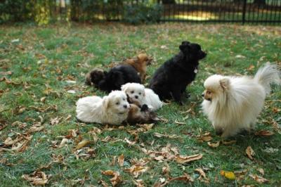 Oct6a_04_409.JPG