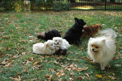 Oct6a_04_411.JPG