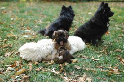 Oct6a_04_467.JPG