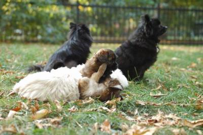 Oct6a_04_472.JPG