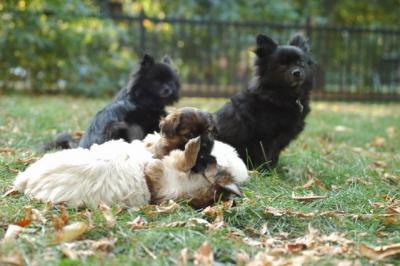 Oct6a_04_483.JPG