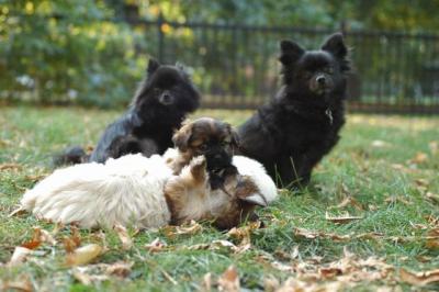 Oct6a_04_484.JPG