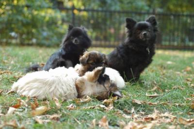 Oct6a_04_485.JPG