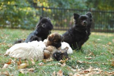 Oct6a_04_487.JPG