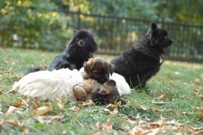 Oct6a_04_492.JPG