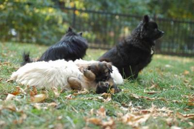 Oct6a_04_494.JPG