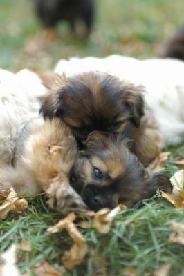 Oct6a_04_501.JPG