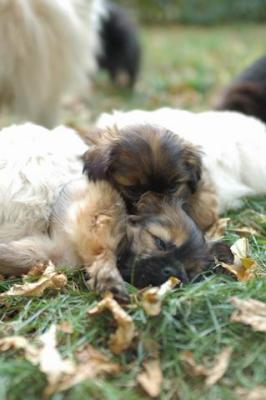 Oct6a_04_504.JPG