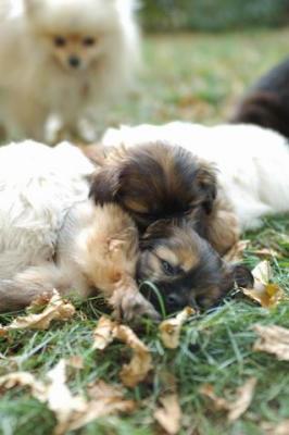 Oct6a_04_506.JPG