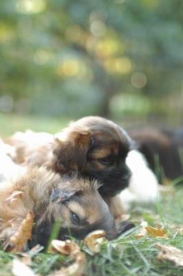 Oct6a_04_520.JPG