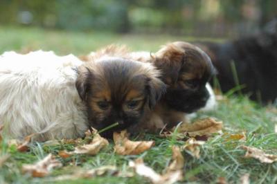 Oct6a_04_524.JPG