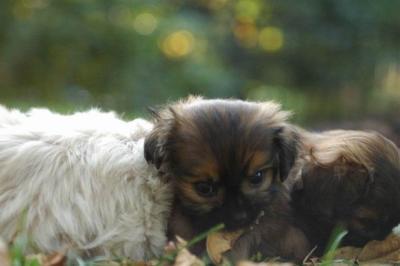 Oct6a_04_527.JPG