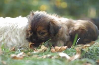 Oct6a_04_531.JPG