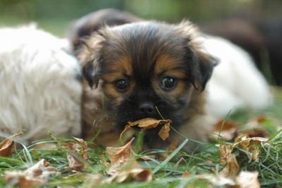 Oct6a_04_547.JPG