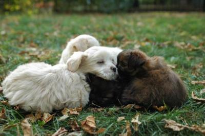 Oct6a_04_561.JPG