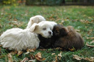 Oct6a_04_562.JPG