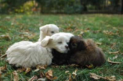 Oct6a_04_564.JPG