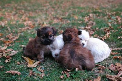 Oct6a_04_602.JPG