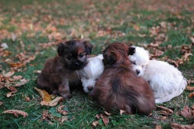 Oct6a_04_604.JPG