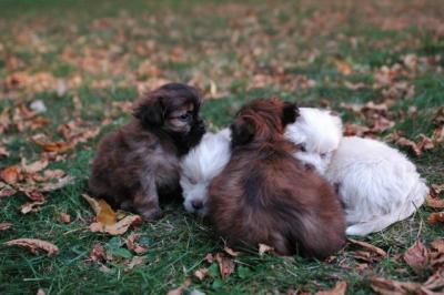 Oct6a_04_606.JPG