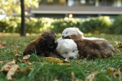 Oct6a_04_612.JPG