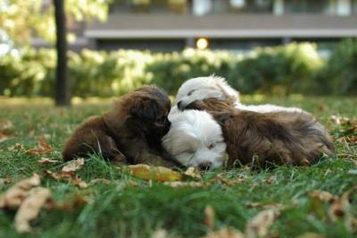 Oct6a_04_613.JPG