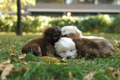 Oct6a_04_614.JPG