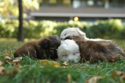 Oct6a_04_619.JPG