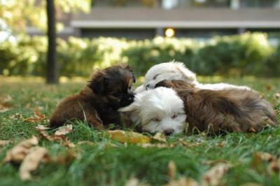 Oct6a_04_621.JPG