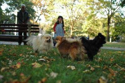 Oct6a_04_645.JPG