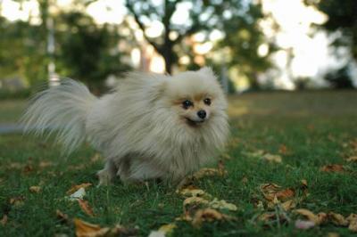 Oct6a_04_648.JPG