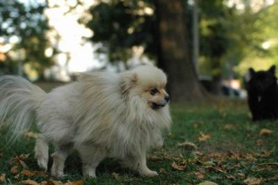 Oct6a_04_649.JPG