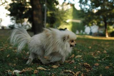 Oct6a_04_651.JPG