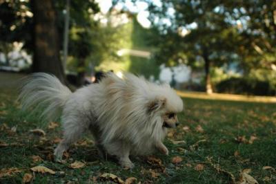 Oct6a_04_652.JPG