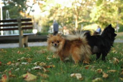 Oct6a_04_654.JPG