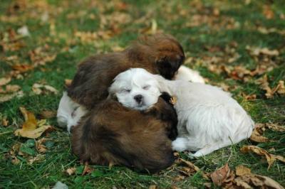 Oct6a_04_664.JPG