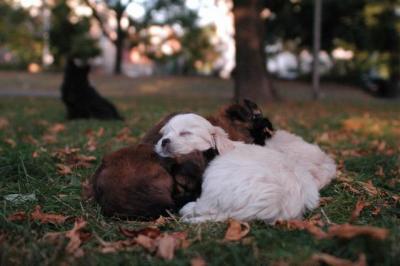 Oct6a_04_676.JPG