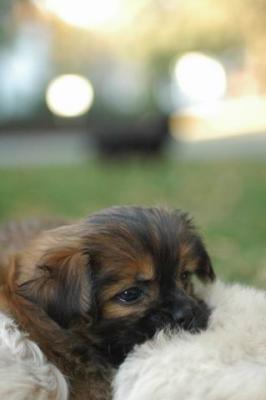 Oct6a_04_684.JPG